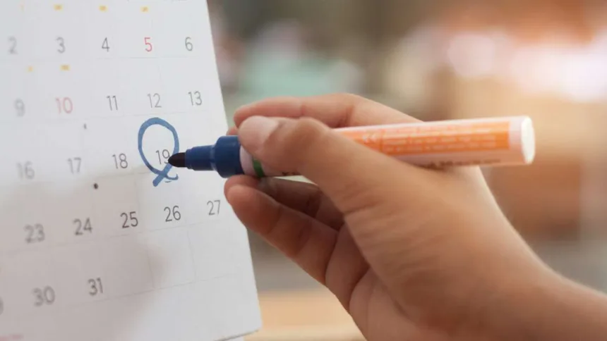 Depois do IPVA, confira o calendário do licenciamento de 2024 em São Paulo