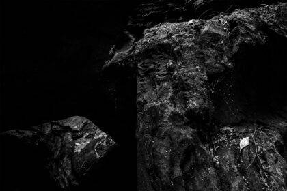 Pedro França