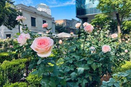 Jardim do Museu Casa das Rosas